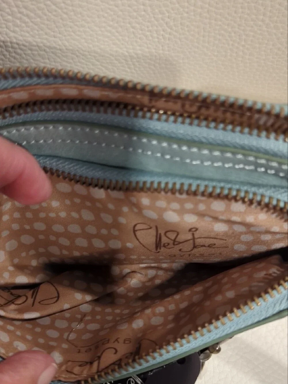 Vegan Leather Mint Crossbody Organizer Bag